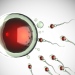 Sperm cells and egg
