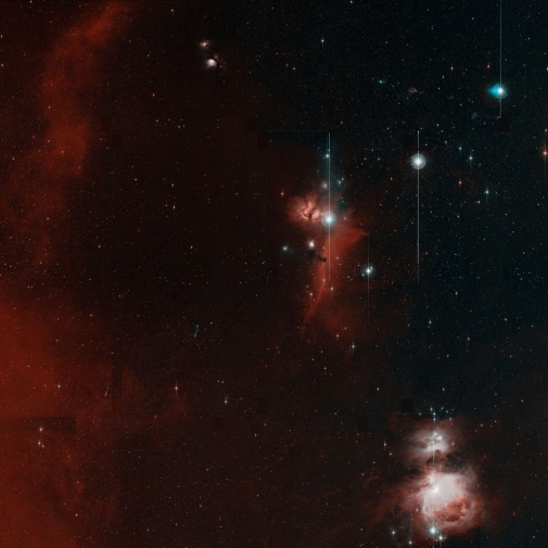 The first image from ZTF shows Orion